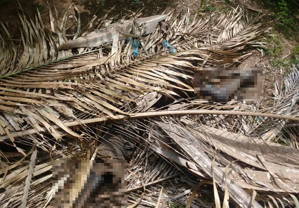 Corpo de homem é encontrado na zona rural de José de Freitas