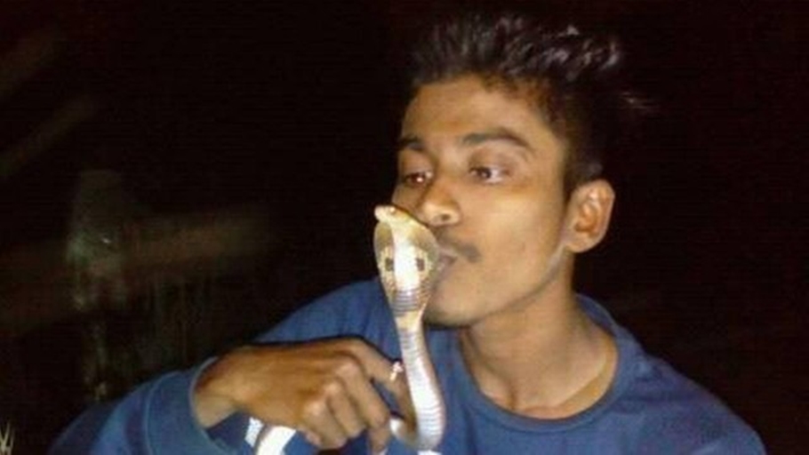 Jovem morre após tirar foto beijando cobra e ser picado 