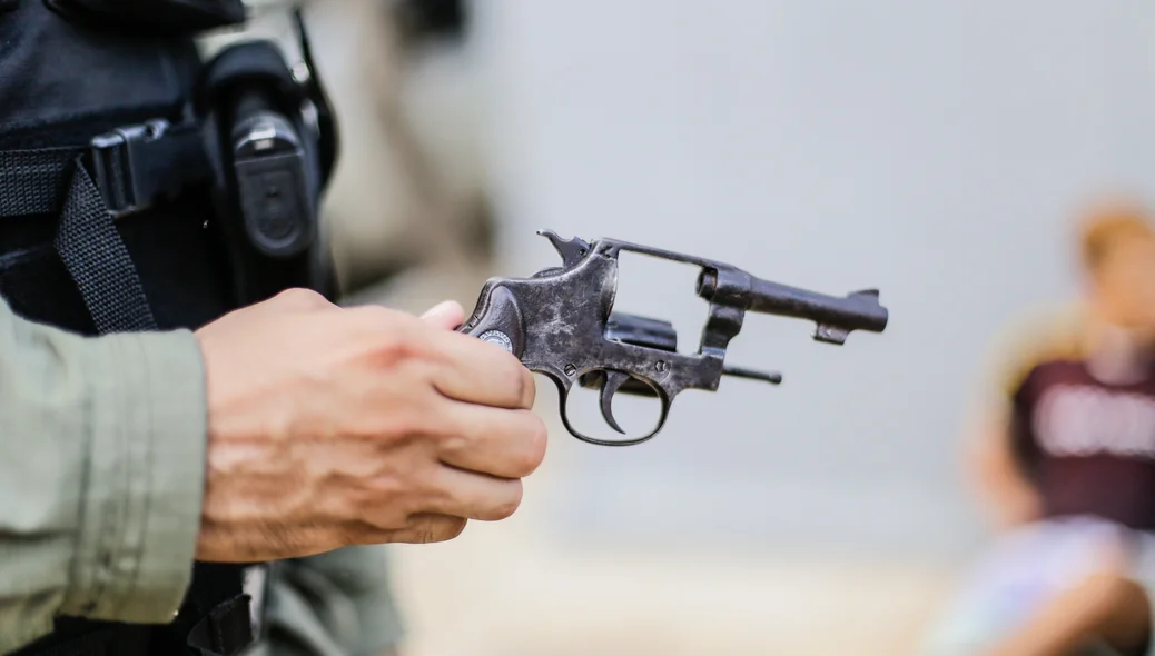 Arma de fogo apreendida