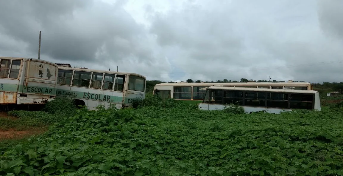 Diversos ônibus abandonados
