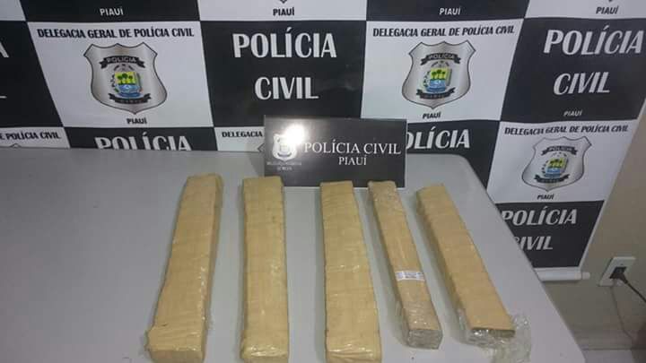 Material apreendido