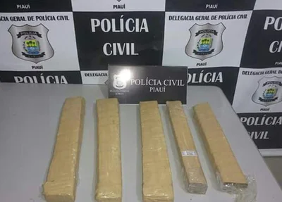 Material apreendido