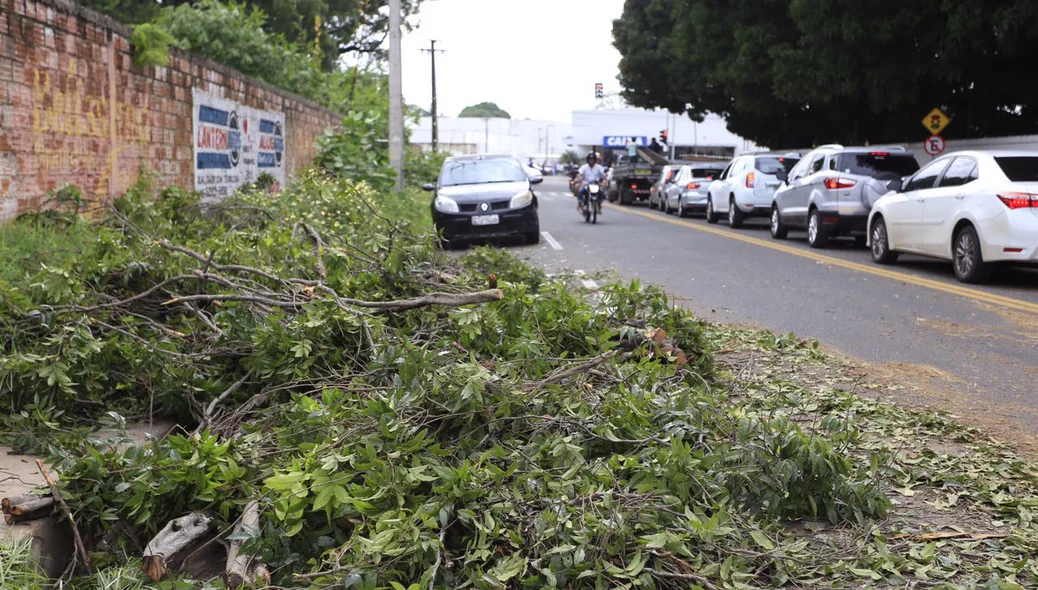 Forte chuva causa estragos na zona Leste de Teresina