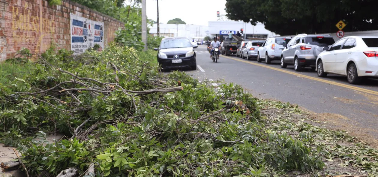 Forte chuva causa estragos na zona Leste de Teresina