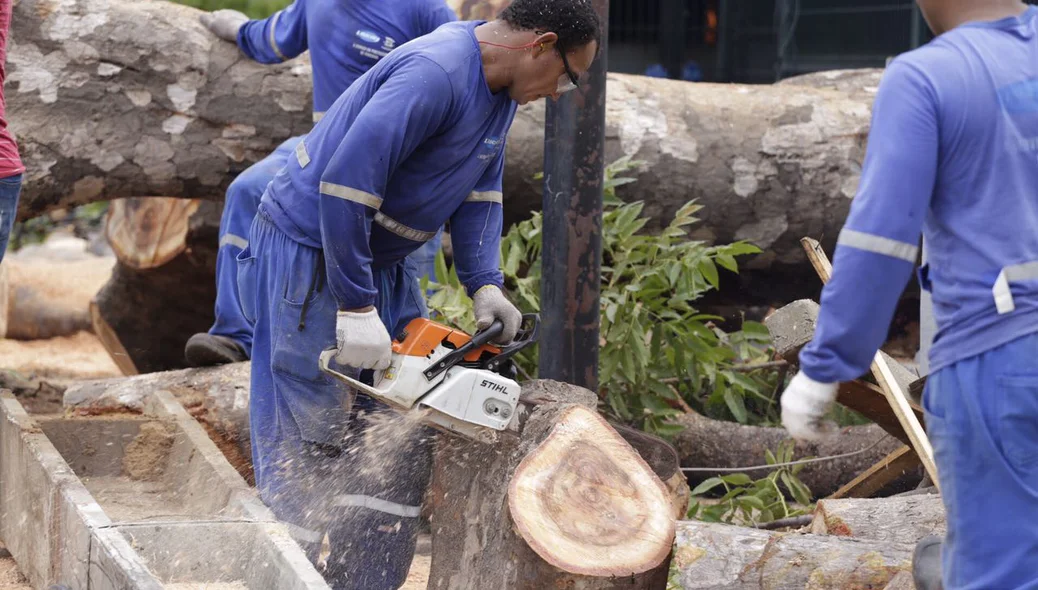 Homens retiram árvore caída no Bairro São Cristóvão