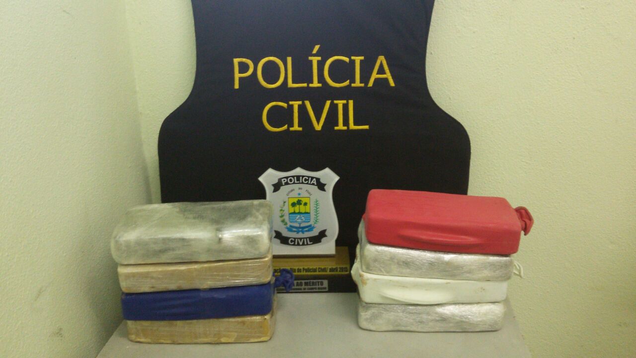 Material apreendido