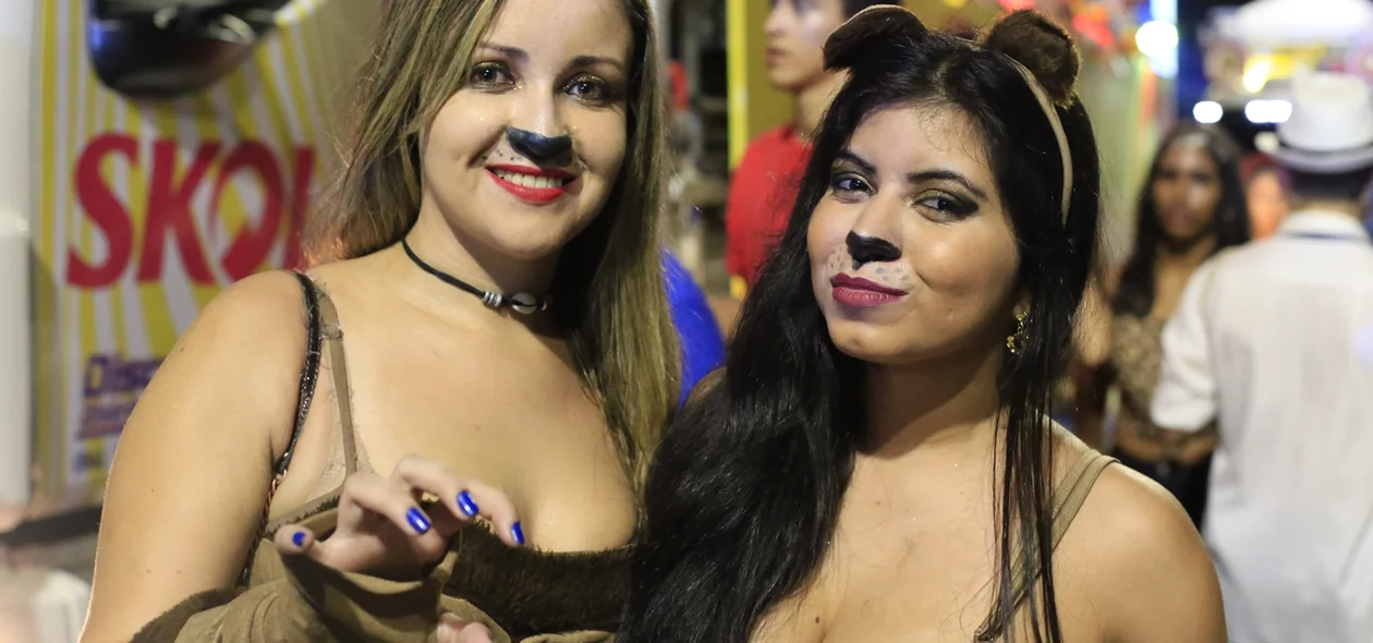 Mulheres fantasiadas de gatas