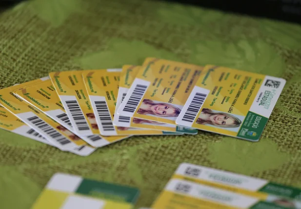 Modelosdas carteirinhas utilizadas por estudantes