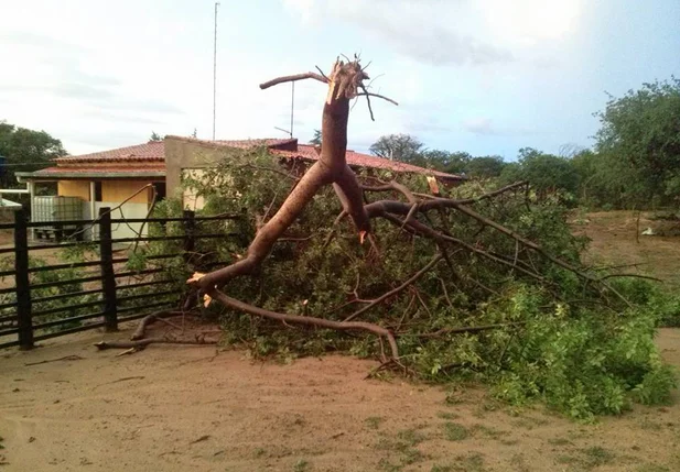 Forte tempestade causa danos na comunidade Abelha Branca