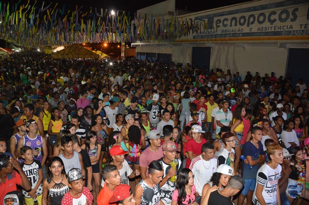 Multidão participa da última noite do Picosfolia