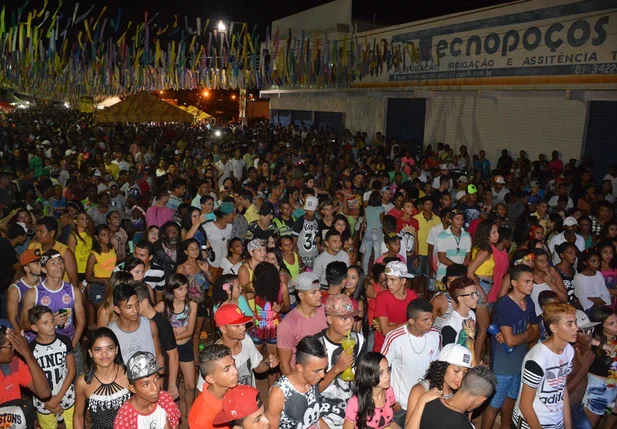 Multidão participa da última noite do Picosfolia