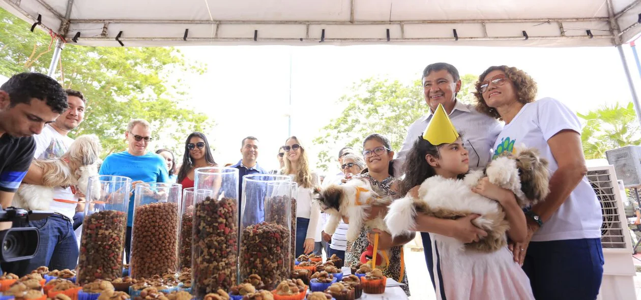 Animais se divertem no aniversário