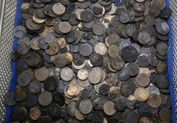 Tartaruga engoliu moedas que eram lançadas por turistas em sua piscina na cidade de Sri 