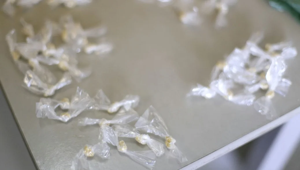 Droga apreendida pela Depre