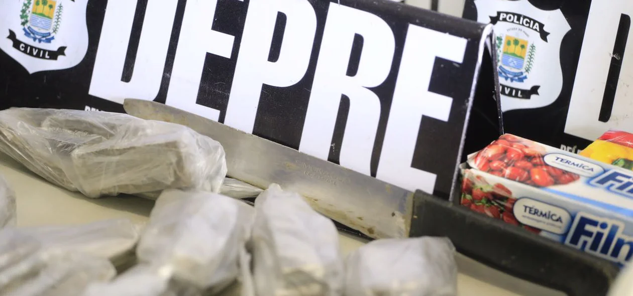 Entorpecentes foram levados para a DEPRE
