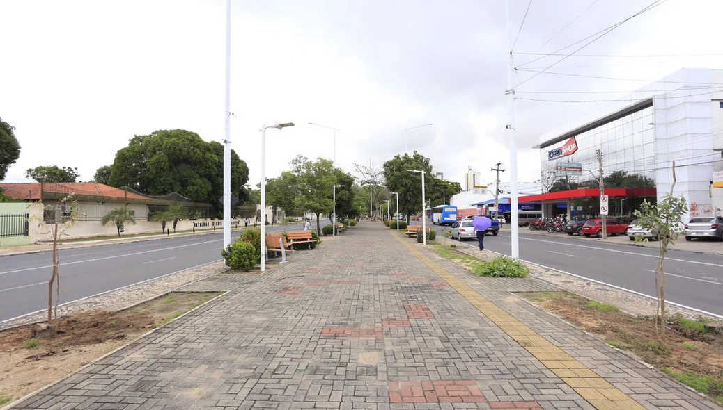 Avenida Frei Serafim recebe plantio de 25 mudas de oiti