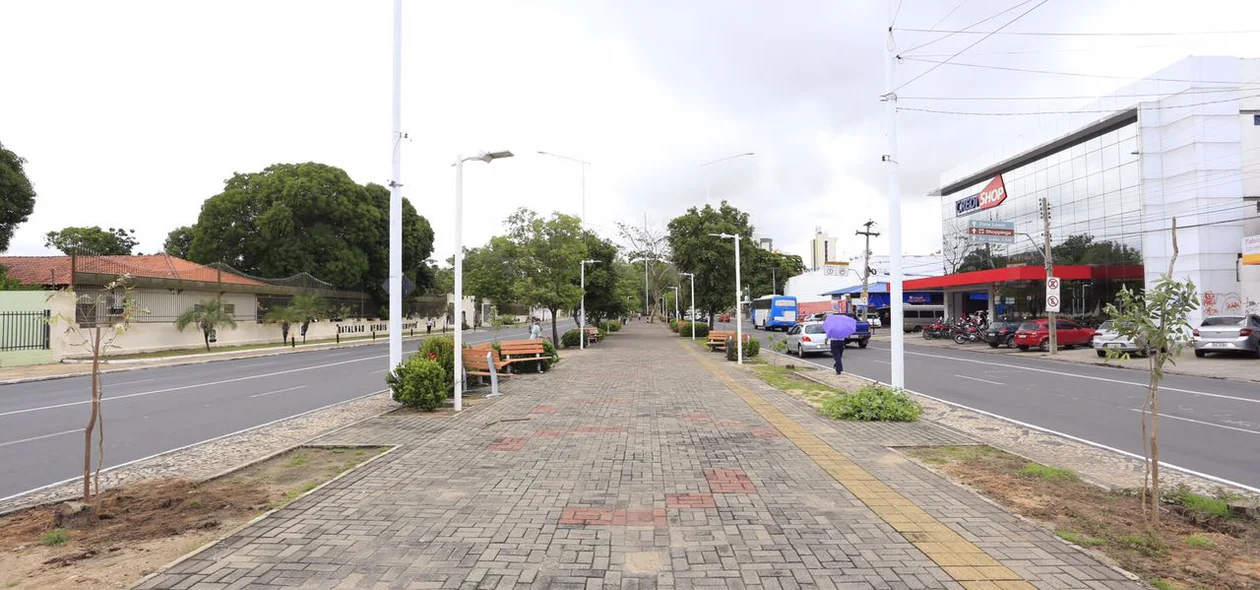 Avenida Frei Serafim recebe plantio de 25 mudas de oiti