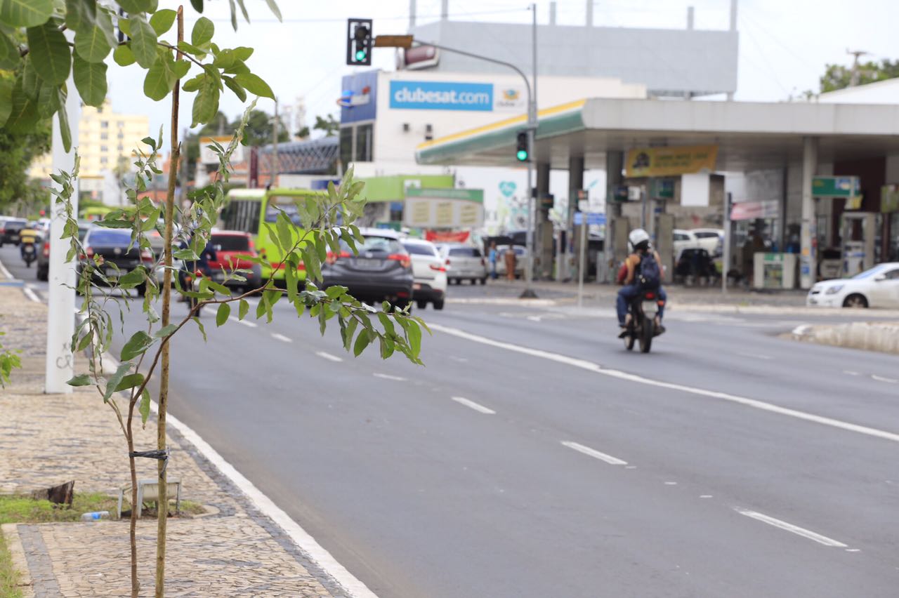 Avenida Frei Serafim