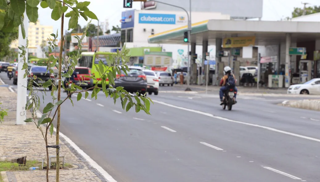 Avenida Frei Serafim