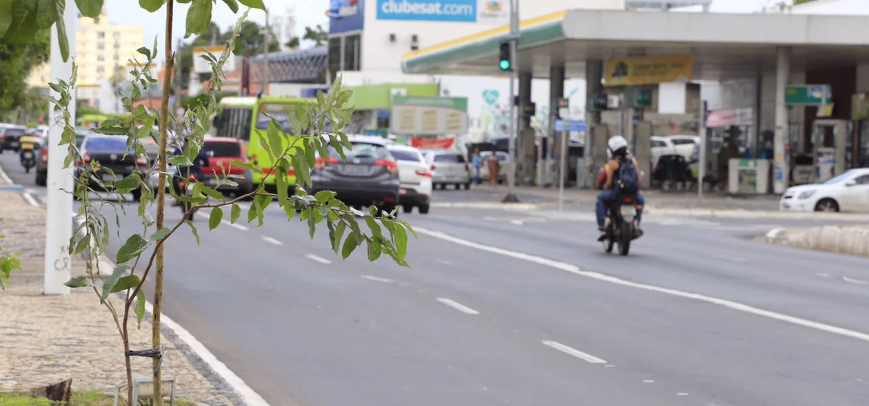 Avenida Frei Serafim
