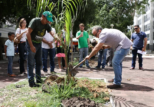 Prefeitura de Teresina faz plantio de mudas no centro de Teresina