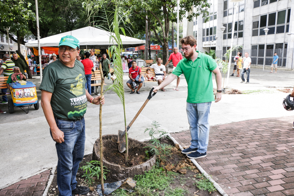 Plantio de mudas de árvores do projeto Teresina Mais Verde