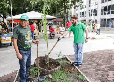 Plantio de mudas de árvores do projeto Teresina Mais Verde