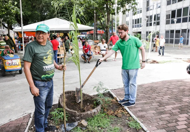 Plantio de mudas de árvores do projeto Teresina Mais Verde