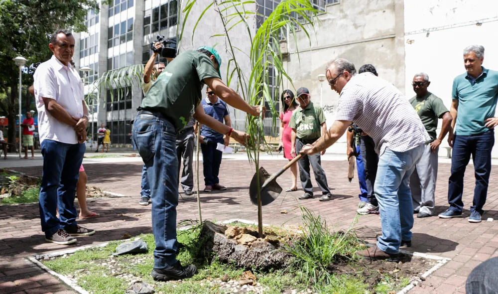Plantio de mudas do projeto Teresina Mais Verde em praças do centro de Teresina
