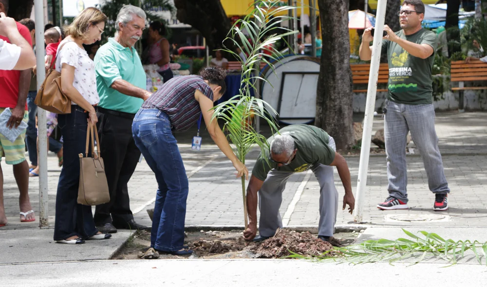 Plantio de mudas do projeto Teresina Mais Verde