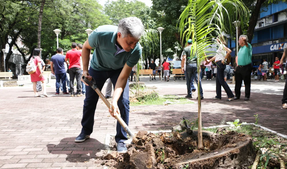 Secretário Fernando Said planta uma muda no centro de Teresina