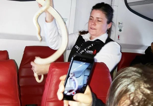 Segundo empresa aérea Ravn Alaska, passageiro violou regra ao embarcar com a cobra no avião