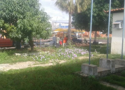 Equipe contratada pelos servidores fazendo a capina