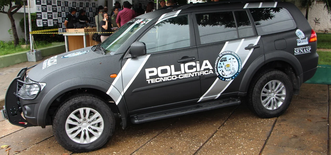 Carro que serão entregues para os peritos