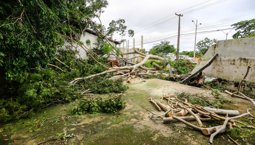 Parte do muro destruído