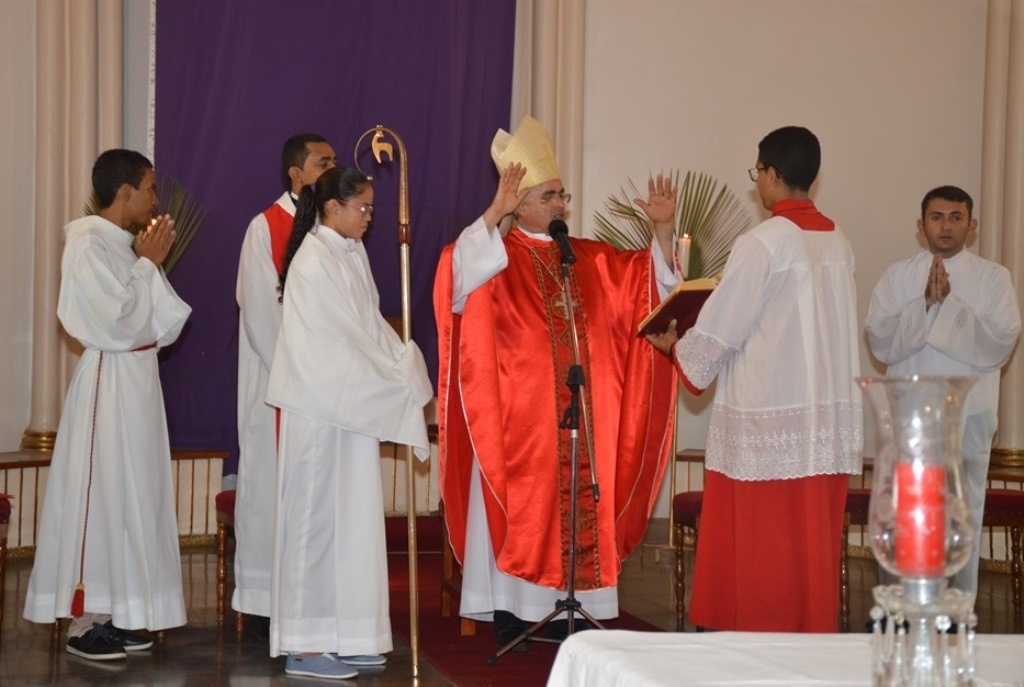 Dom Plínio preside Missa de Ramos na Catedral