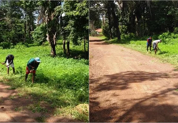 Serviço de roço