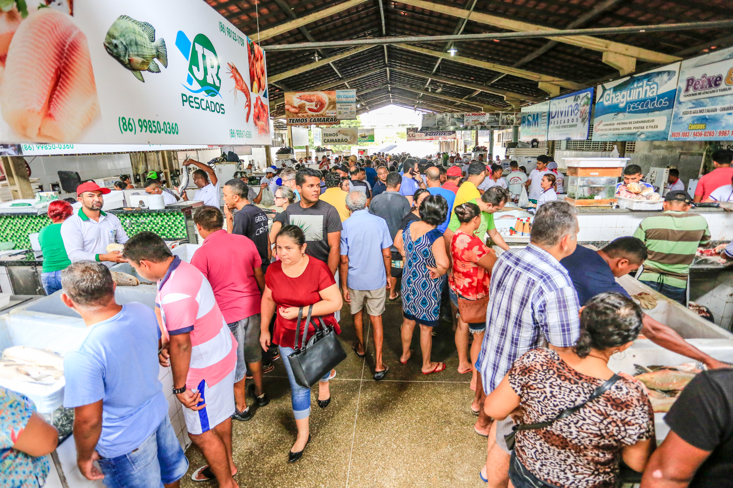 Mercado do peixe 