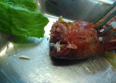 Papel é encontrado dentro de linguiça servida em restaurante da UFSCar