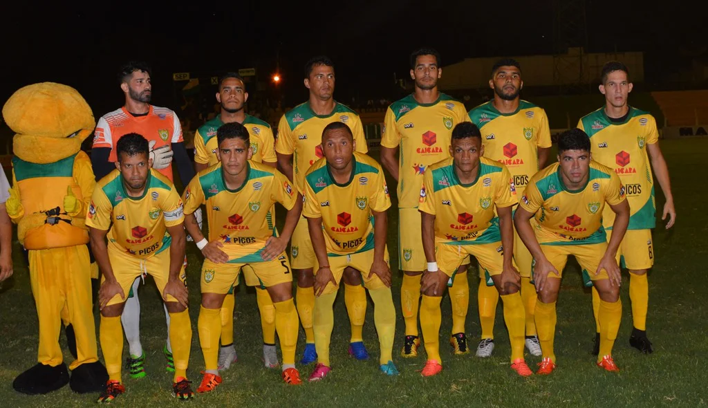 Sociedade Esportiva de Picos
