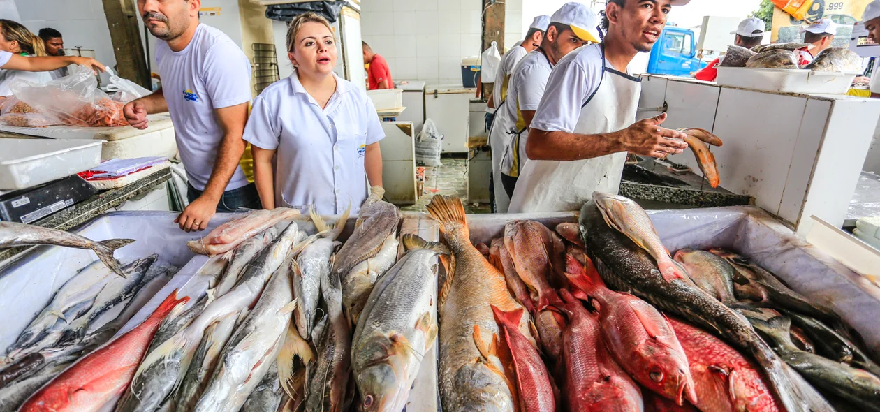 Vários tipos de peixes