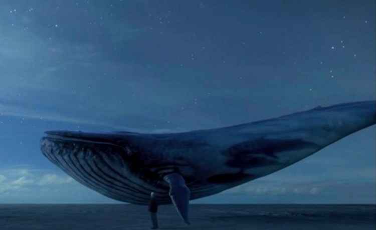 Desafio da Baleia Azul
