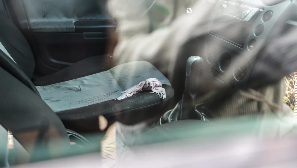 Interior do carro da vítima baleada