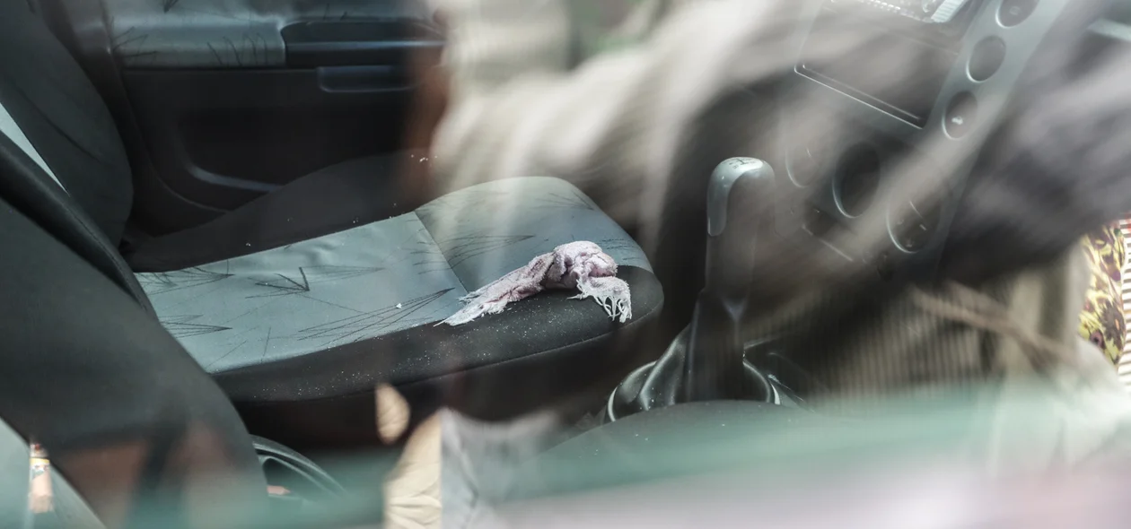 Interior do carro da vítima baleada