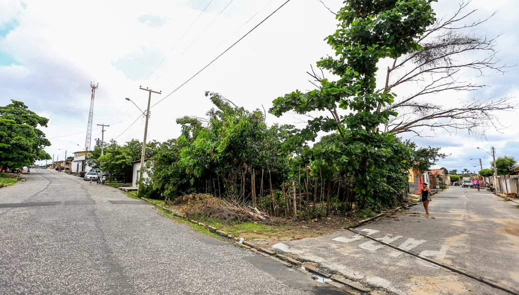 Rua Areolino de Carvalho, bairro Água Mineral