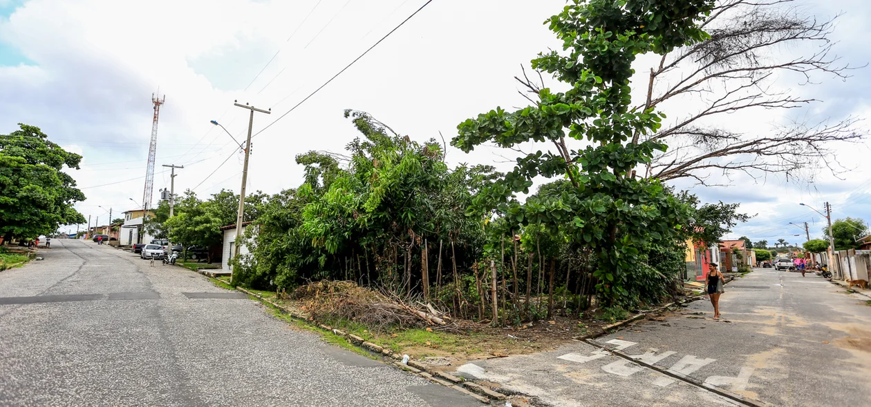 Rua Areolino de Carvalho, bairro Água Mineral