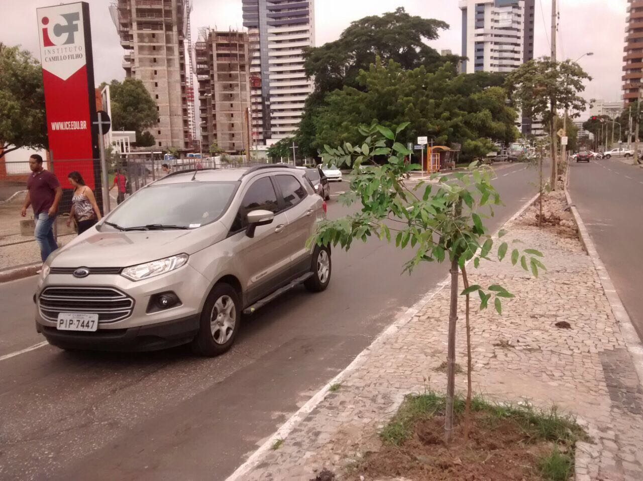 Prefeitura de Teresina faz o plantio de mais 60 mudas de árvores na Avenida Jóquei Clube