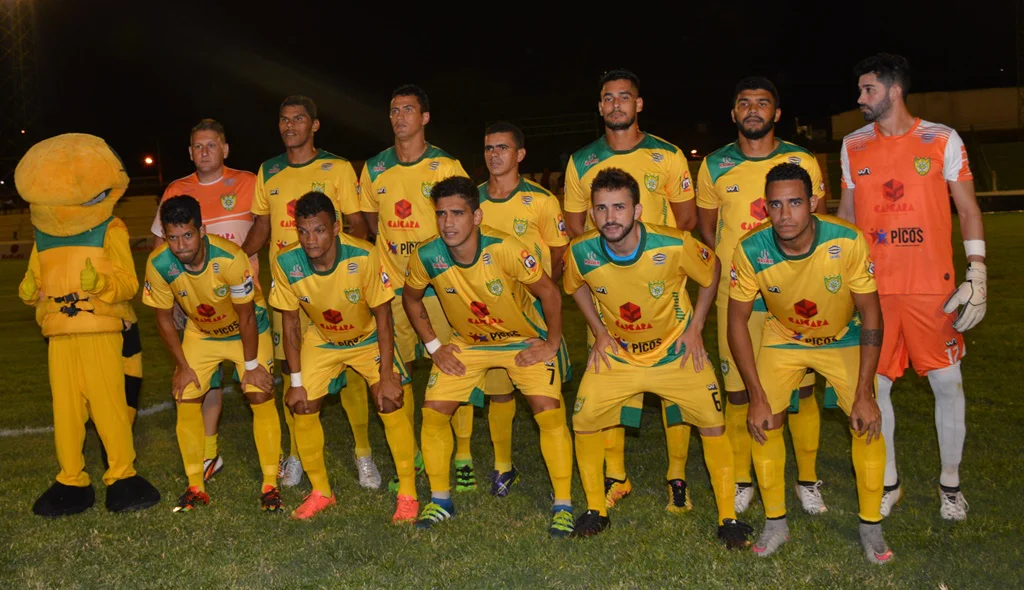 Sociedade Esportiva de Picos