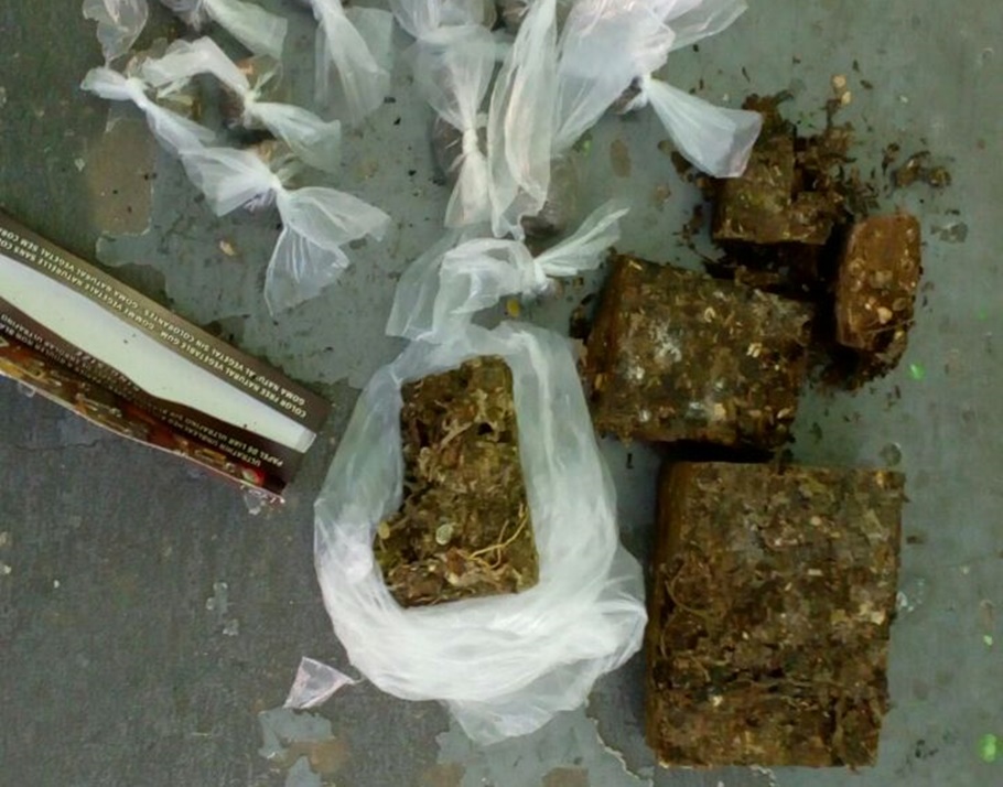 Maconha encontrada na casa
