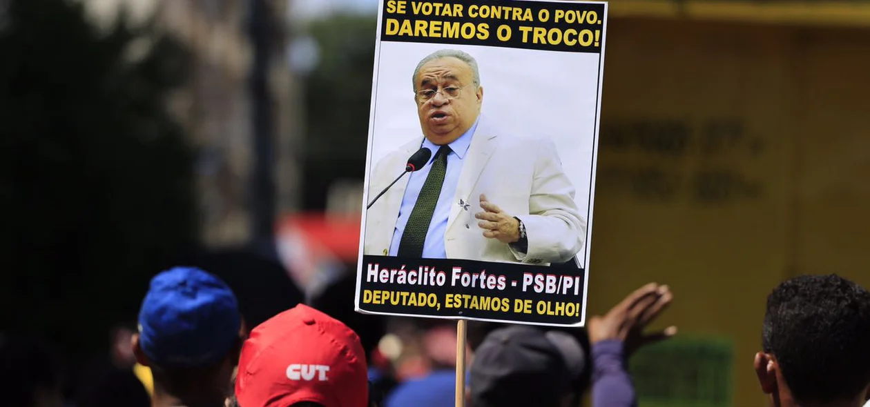 O deputado Heráclito Fortes votou a favor da reforma trabalhista